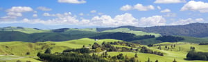 New Zealand farmland.